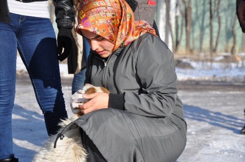 KAÜ'lü Öğrencilerin Hayvan Duyarlılığı