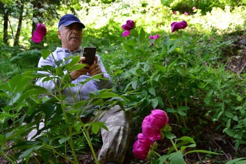 Kazdağları, Fotoğrafçıların Çekim Merkezi Olacak