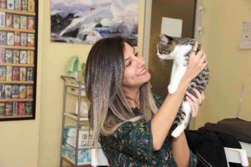 Kedi Dövmelerinin Geliri ‘Patili Dost’larına
