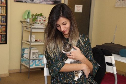 Kedi Dövmelerinin Geliri ‘Patili Dost’larına