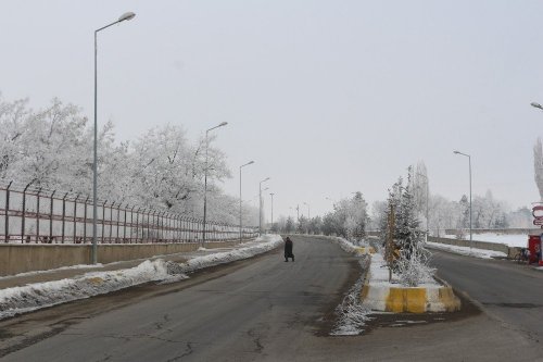 Kırağı Tutan Ağaçlar Büyüledi