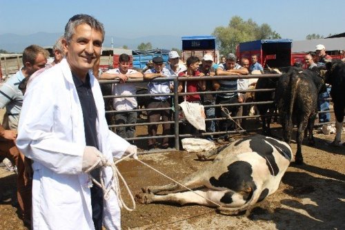Kurbanlık Yatırmanın Püf Noktası