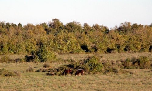 Kuş Cenneti’nde Sonbahar