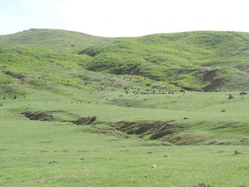 Mera Islahı Çalışmaları Devam Ediyor