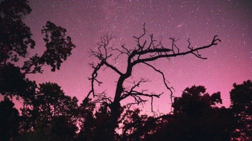 Meteor Yağmuru Böyle Görüntülendi