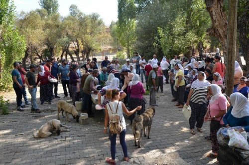 Munzur Gözeleri’ne Yerli Turist Akını