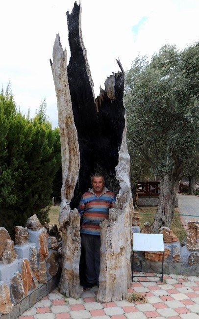 Odunları Sanat Eserine Dönüştürüyor