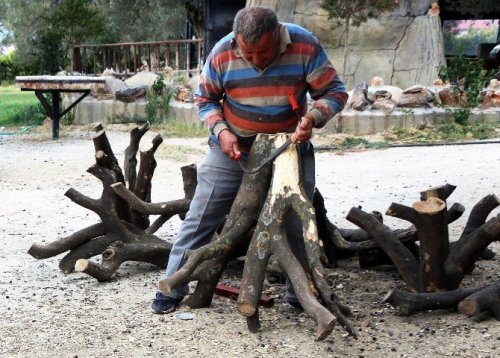 Odunları Sanat Eserine Dönüştürüyor