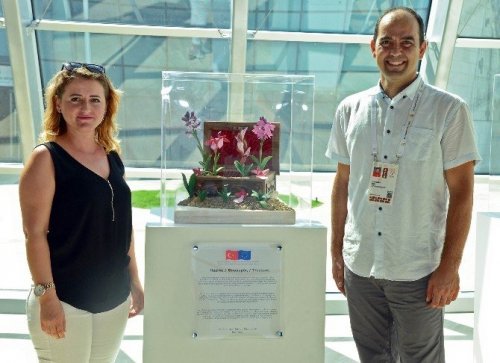 Orkideler İçin Expo 2016’da Bir Araya Geldiler