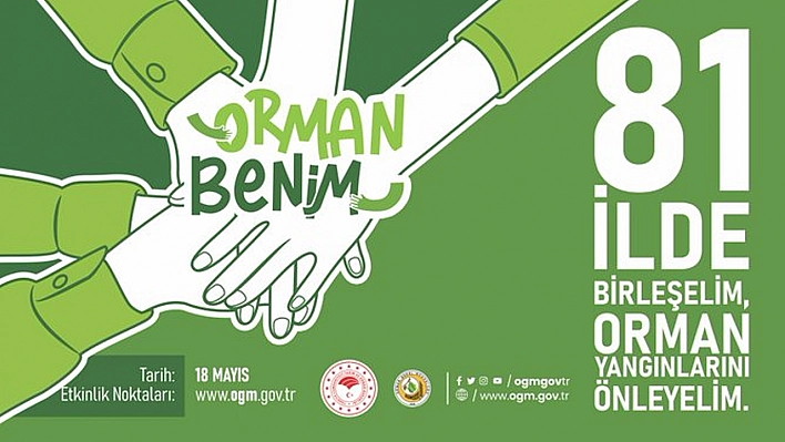 orman-benim.webp