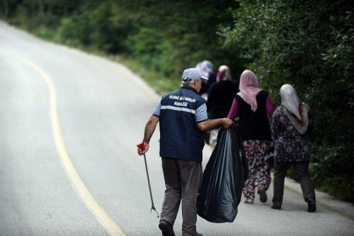 Ormandan Temizlik Canavarı Çıktı