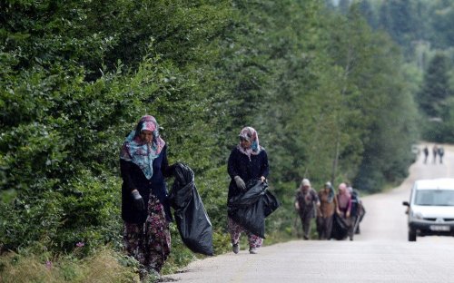 Ormandan Temizlik Canavarı Çıktı