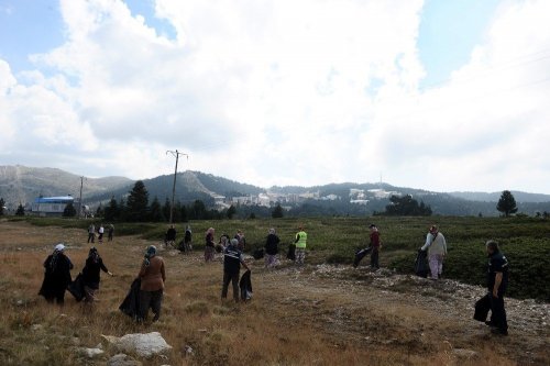 Ormandan Temizlik Canavarı Çıktı