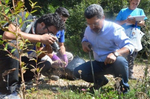 Ormanların Sessiz Sakinleri Teker Teker Keşfediliyor