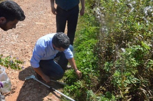 Ormanların Sessiz Sakinleri Teker Teker Keşfediliyor