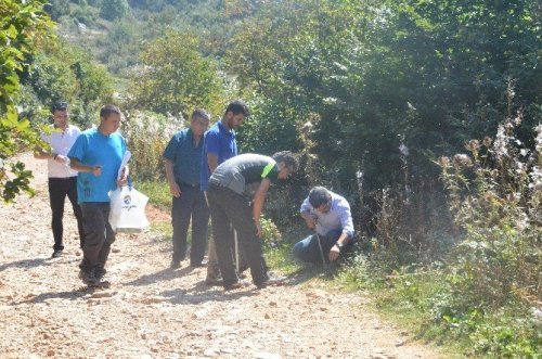 Ormanların Sessiz Sakinleri Teker Teker Keşfediliyor