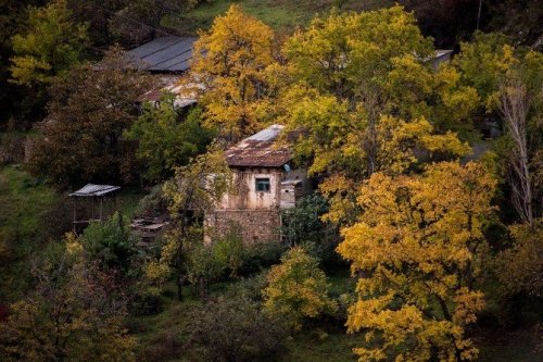 Örümcek Ormanları’ndan Son ’Bahar’ Manzaraları