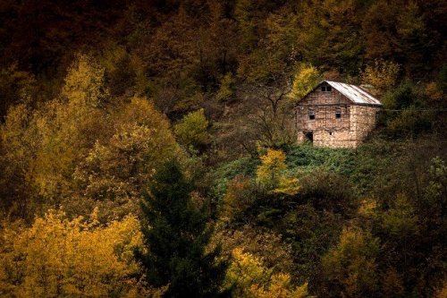 Örümcek Ormanları’ndan Son ’Bahar’ Manzaraları