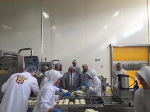 Peynir Fabrikasında İncelemeler