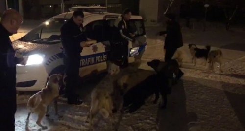 Polis 'Sokak Köpekleri'ni Doyurdu