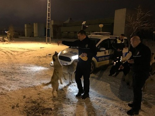 Polis 'Sokak Köpekleri'ni Doyurdu