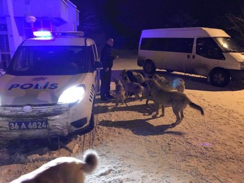 Polis 'Sokak Köpekleri'ni Doyurdu