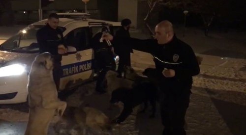 Polis 'Sokak Köpekleri'ni Doyurdu