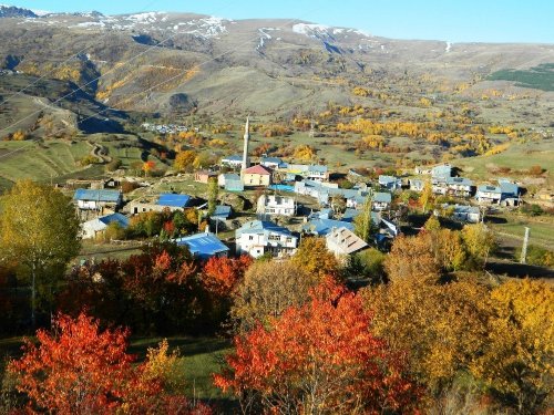 Posof’ta Kış Öncesi Renk Cümbüşü