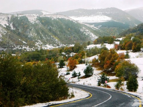 Posof’ta Kış Öncesi Renk Cümbüşü