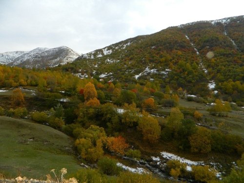 Posof’ta Kış Öncesi Renk Cümbüşü