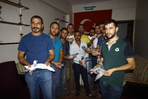 Posta Güvercinleri Yarışacak