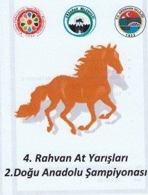 Rahvan At Yarışları Şampiyonası Ardahan’da Yapılacak