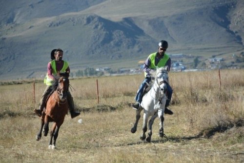 Rahvan At Yarışları Türkiye Şampiyonası Ardahan’da Yapıldı
