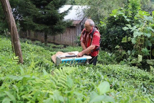 Rizeli 'Çay Toplama Makinesi' Yaptı