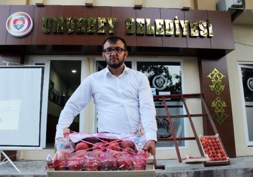 Rusya Dört Gözle Bu Şeftalileri Bekliyor