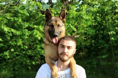 Sadık Dostlar Eğitimle Daha Sadık Oluyor