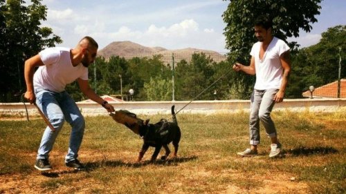 Sadık Dostlar Eğitimle Daha Sadık Oluyor