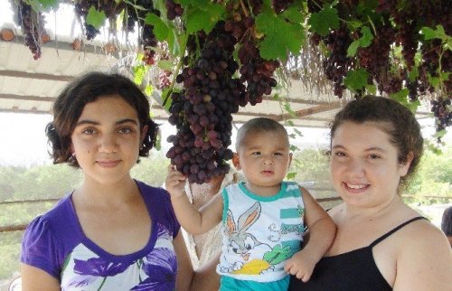 Salkımı 5 Kilo Gelen 1 Ton Üzümü Bedava Dağıtıyor