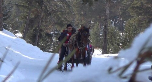 Sarıkamış’ta Atlı Kızakla Kayak Keyfi