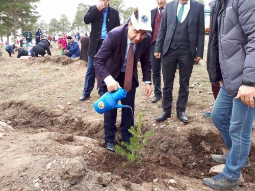 Sarıkamış’ta Fidan Dikimi Yapıldı