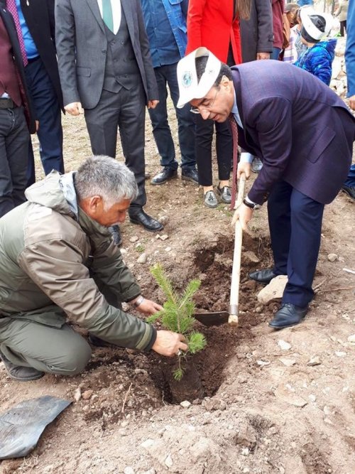 Sarıkamış’ta Fidan Dikimi Yapıldı