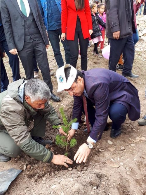 Sarıkamış’ta Fidan Dikimi Yapıldı