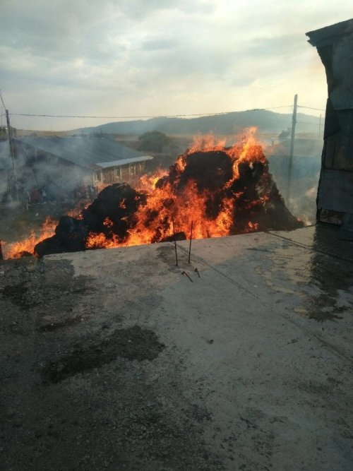 Sarıkamış’ta Ot Yangını