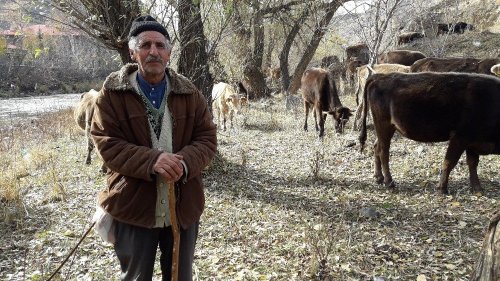 Sıcak Hava Hayvancılıkla Uğraşanlara Yaradı