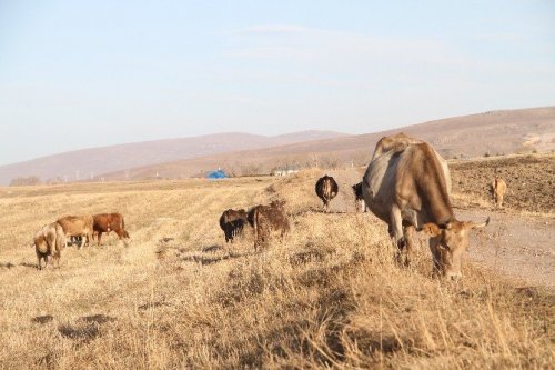 Sıcak Hava İnşaatçılara ve Çiftçilere Yaradı