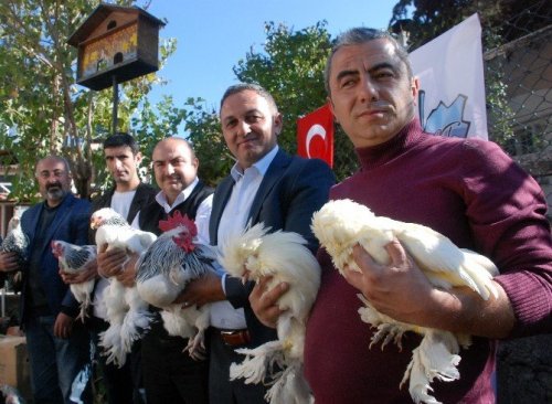 Sultan Tavuğu Fiyatı ve Görüntüsü ile Dikkat Çekiyor