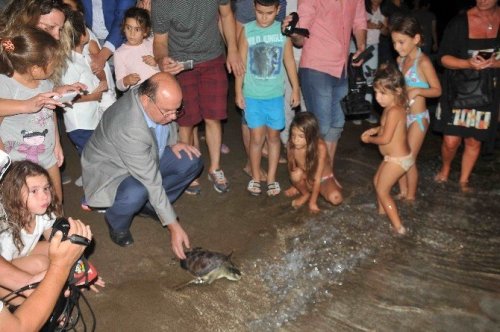 Tedavileri Tamamlanan Deniz Kaplumbağaları Denize Bırakıldı