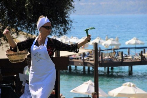 Turistler Tatili Bırakıp Zeytin Topladı