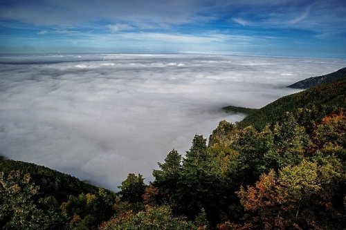 Türk Fotoğrafçılar Dünya Kupası’nda Mansiyon Kazandı