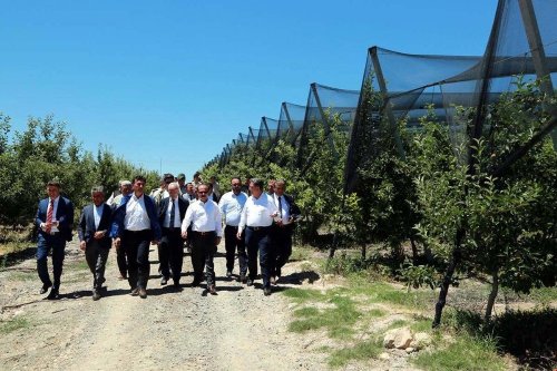 Türkiye’nin En Büyük Meyve Bahçesinde Kiraz Hasadı